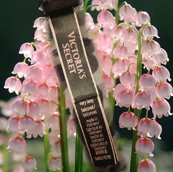 Bra - Picture 4 of 7